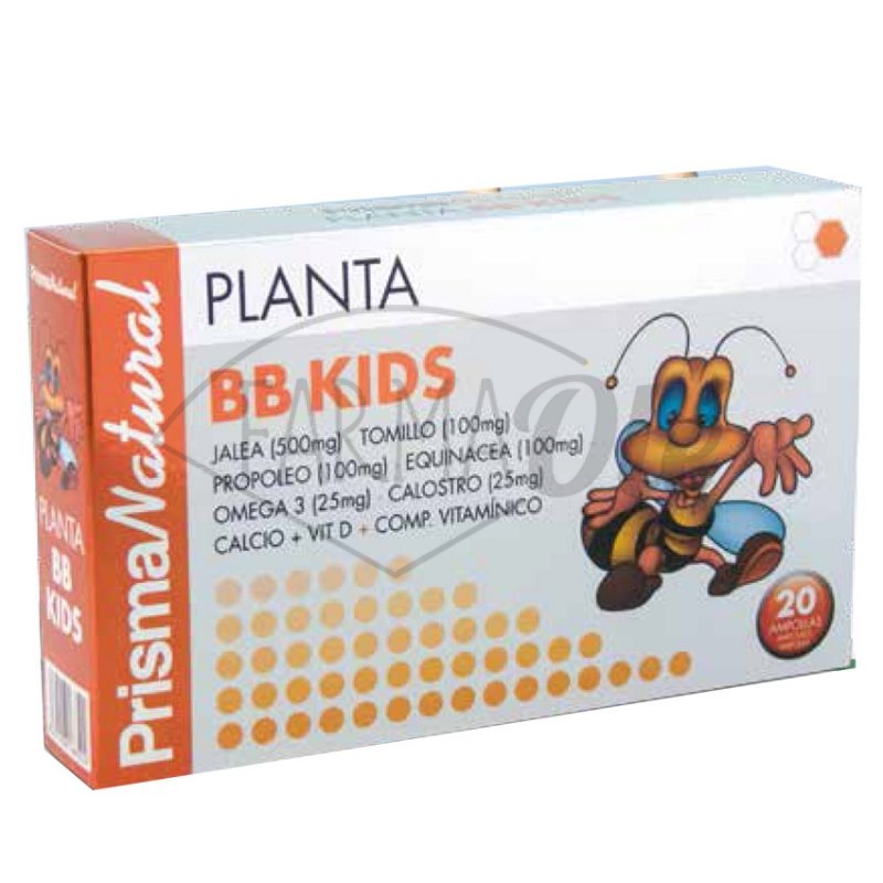 Planta-BBKIDS-AJUSTADA Planta-BBKIDS-AJUSTADA
