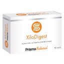 XiloDigest-AJUSTADA